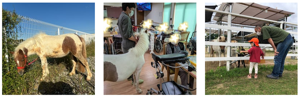 阿久比町や半田市で動物セラピーが人気のほたるナーシング